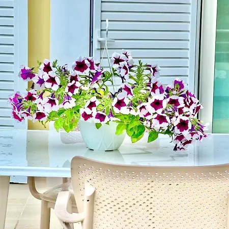 Closwd Hotel Sarande
